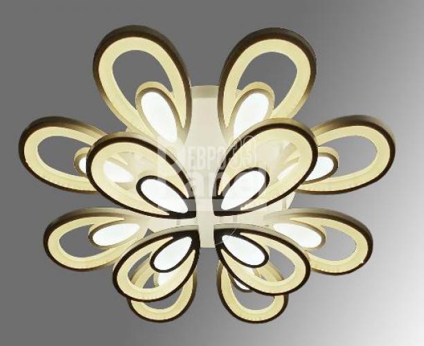 Daisy 192w