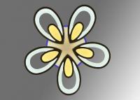 Daisy 96w
