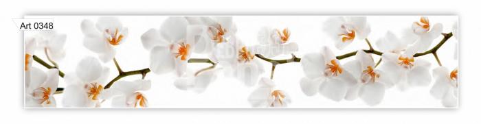 Art 0348