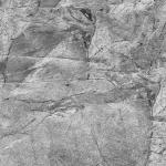 Ламинированная панель ПВХ 