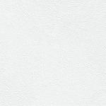 Лопез 2700x250x9 мм