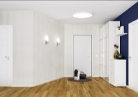 Ясень Белый МДФ 2600х238х6 СОЮЗ Classic