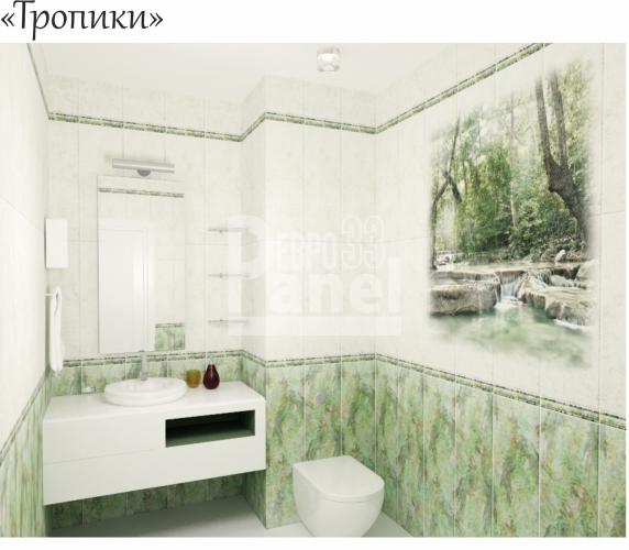Тропики