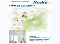 Орхидея Белая Комплект Потолочный