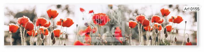 Art 0155