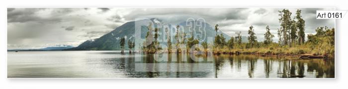 Art 0161