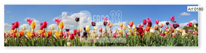 Art 0180