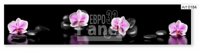 Art 0184