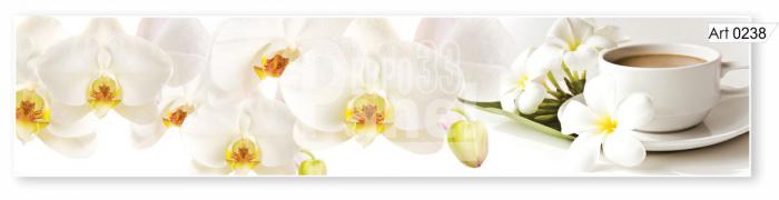 Art 0238