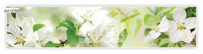 Art 0256