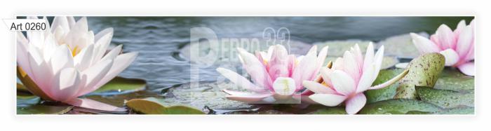Art 0260