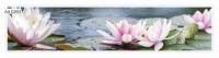 Art 0260