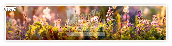 Art 0263