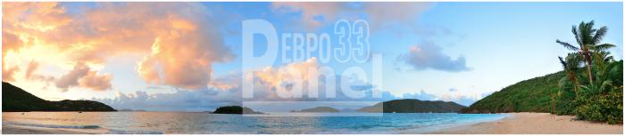 Art 0295