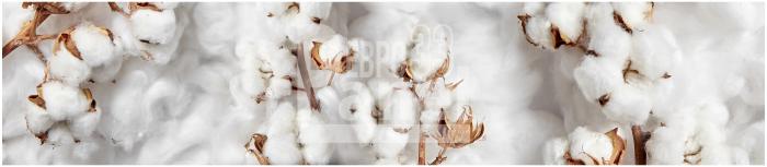 Art 0298
