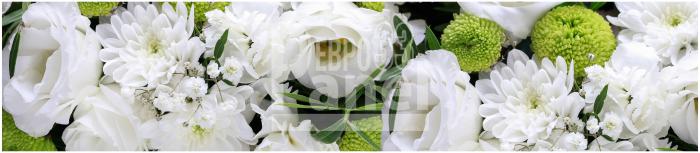 Art 0335