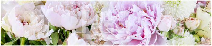 Art 0336